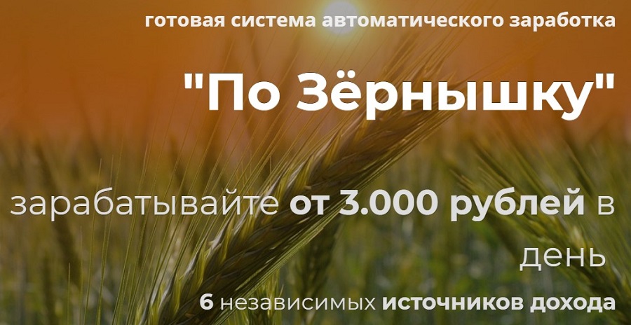 po zernyshku aleksandra pisarevskogo - ВидеоМани. 3000 рублей за 3 часа без вложений