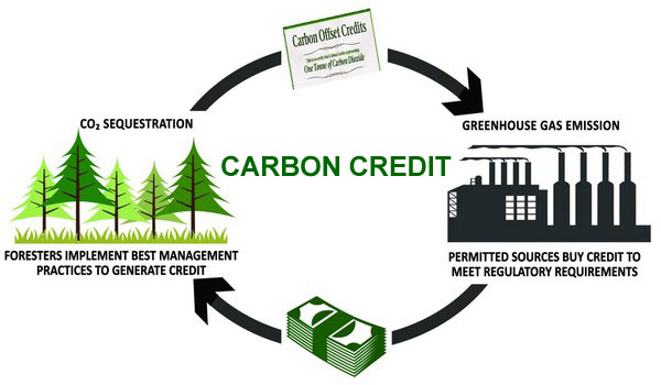 Углеродные кредиты