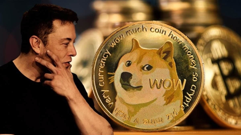 Насколько сильно влияние действий Илона Маска на Dogecoin